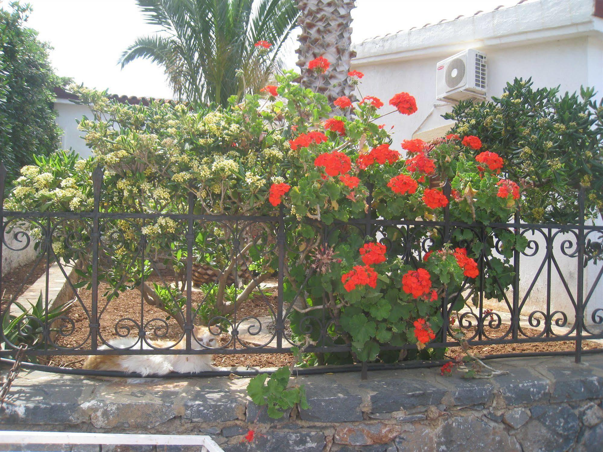 Athina Villas Elounda Eksteriør billede
